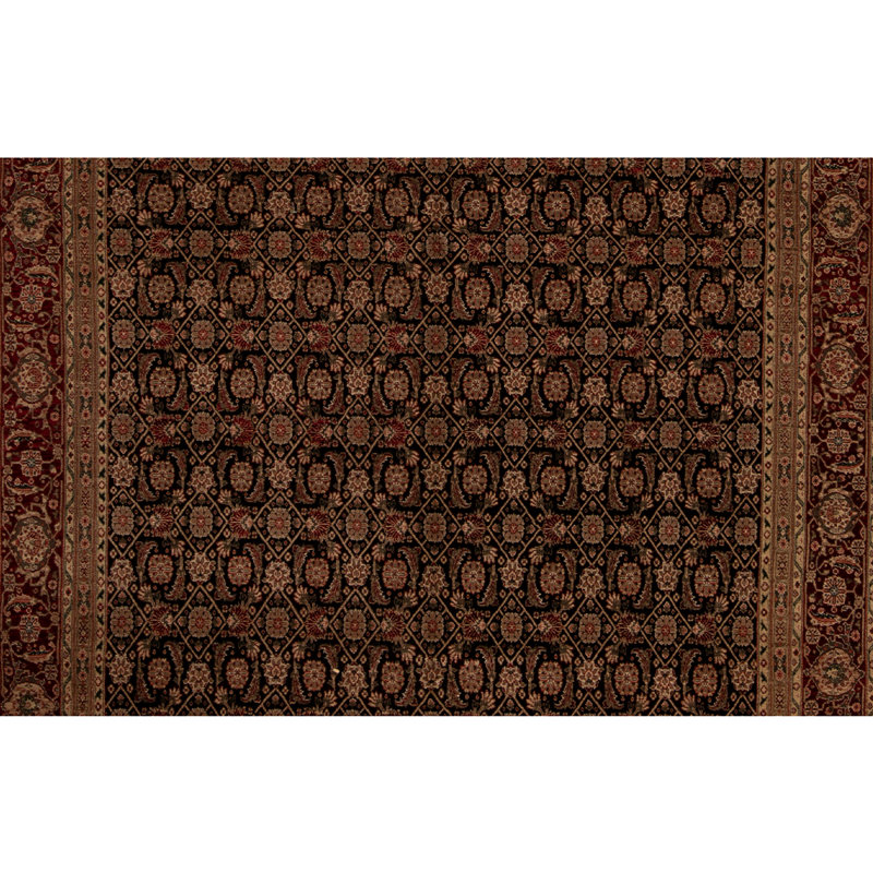 Wool Oriental Area Rug
