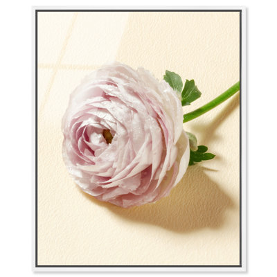 Blush Bone Framed Acrylic Print Floral Art Prints by Art Remedy, White Frame, 36 x 45