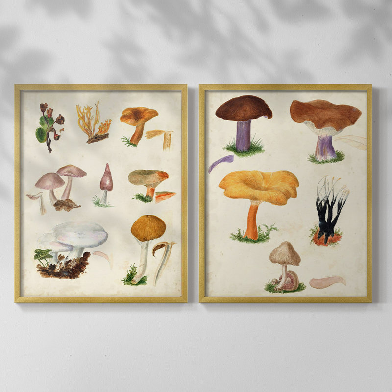 Champignon VI - reproduction encadrée de qualité supérieure - prêt à être accroché - aucun clou requis - aucun clou requis
