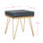 Chalandra Nickel Accent Stool-22788077