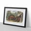 Cinnamon Bears by J.W. Audubon - Picture Frame Painting Print-55545837-55545841