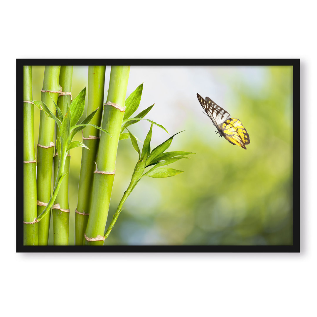 Gerahmtes Poster Bambus mit Schmetterling