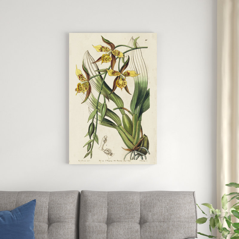 Orchidée de printemps I, H 36 po x l 24 po x P 1,25 po