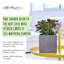 Canto Pot Planter-36478254
