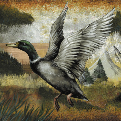 " Mallard Duck " by Ed Wargo