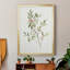 Toile encadrée simple Sprig IV de qualité supérieure - prête à être accrochée-1831562008-1831562009