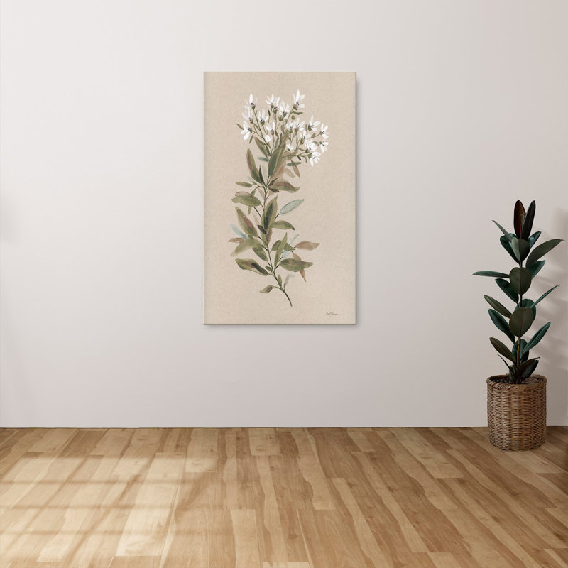 "White Floral Stem I" by Carol Robinson Print on Canvas, H 40 po x l 24 po x P 1,5 po