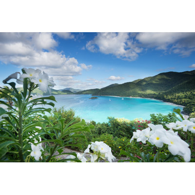 Cinnamon Bay - Wrapped Canvas Print