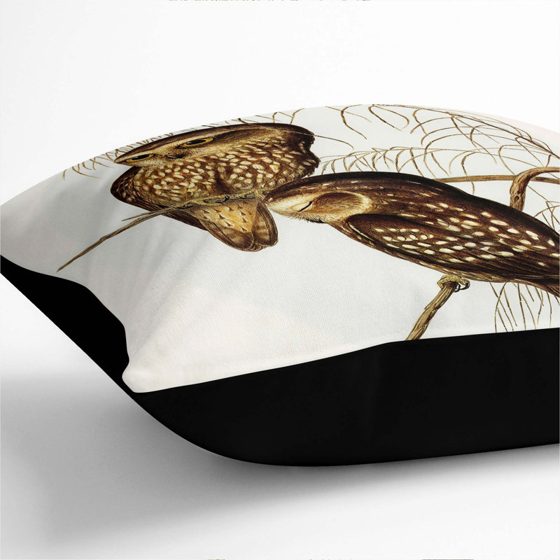 Square Throw Cushion, Black, 55cm H x 55cm W x 20cm D