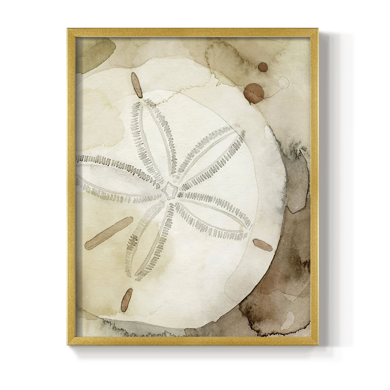 Dry Sand Dollar I, reproduction encadrée - bois massif, H 20 po x l 16 po