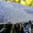 Tent-98431985-98431988
