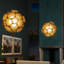 Dandelion LED Pendant-626069205-615606636