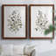 «Neutral Eucalyptus I», reproduction de cadre photo sur toile 2 pièces-661089217-661089223