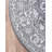 Oriental Indoor Rug