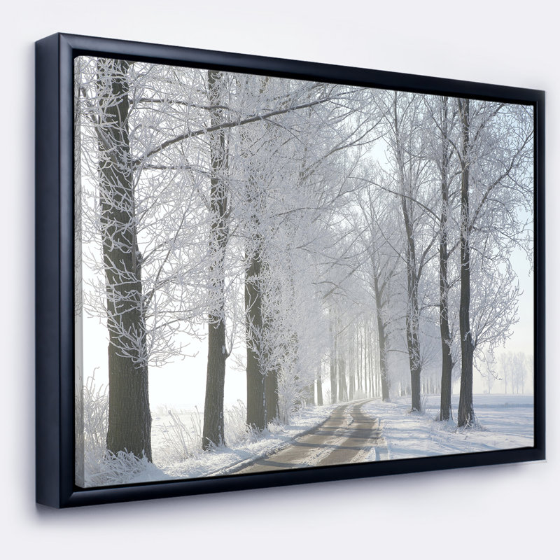 Reproduction de photo sur toile tendue, H 12 po x l 20 po x P 1 po