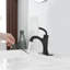 Robinet de salle de bain monocommande-107761326