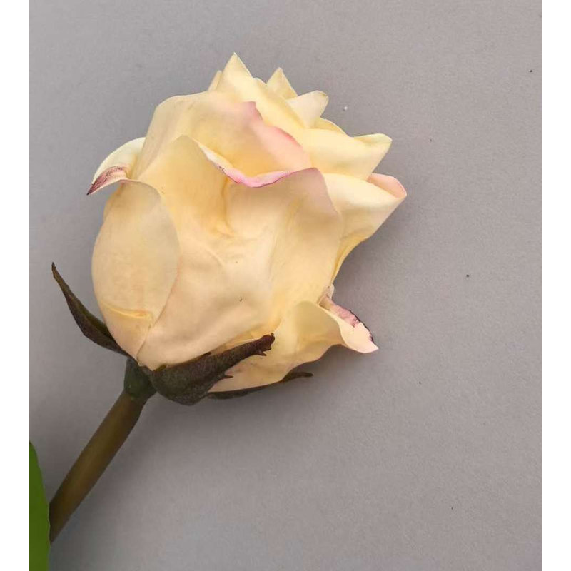 Tige de bouton de rose de jardin au toucher frais 25'', Crème