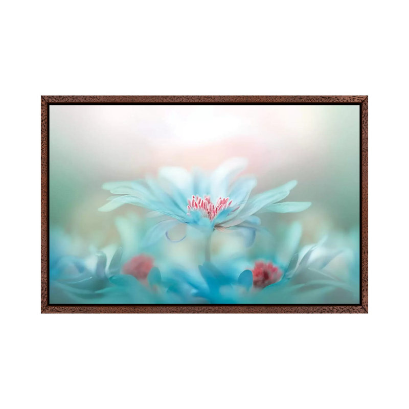 Fantasy by Jacky Parker - Print on Canvas, 45.72cm H x 66.04cm W x 3.81cm D, Classic Brown Wood Floater Framed
