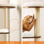 Tour pour chat 65 pouces-372299687