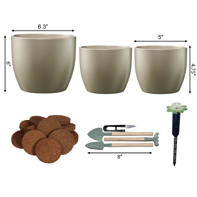 Basel Elegance Indoor Ceramic Pottery Kit