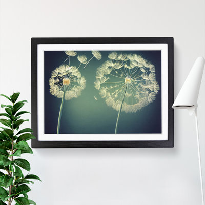 Royal Dandelion Flowers - Single Picture Frame Print