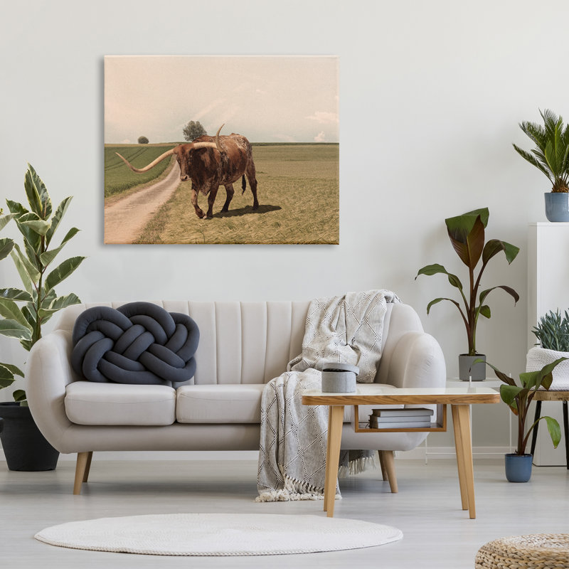 Longhorn, bovins, pâturages, paysage champêtre, photographie sur toile tendue, H 36 po x l 48 po x P 1,5 po, Toile tendue