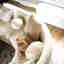 Photos des clients 2 de 2