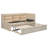 Twin Size Upholstered Daybed with Trundle, Storage Shelves, USB & Outlet-146798645