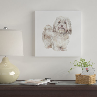 Bichon havanais cubain par Wandering Laur - reproduction d'art sur toile tendue