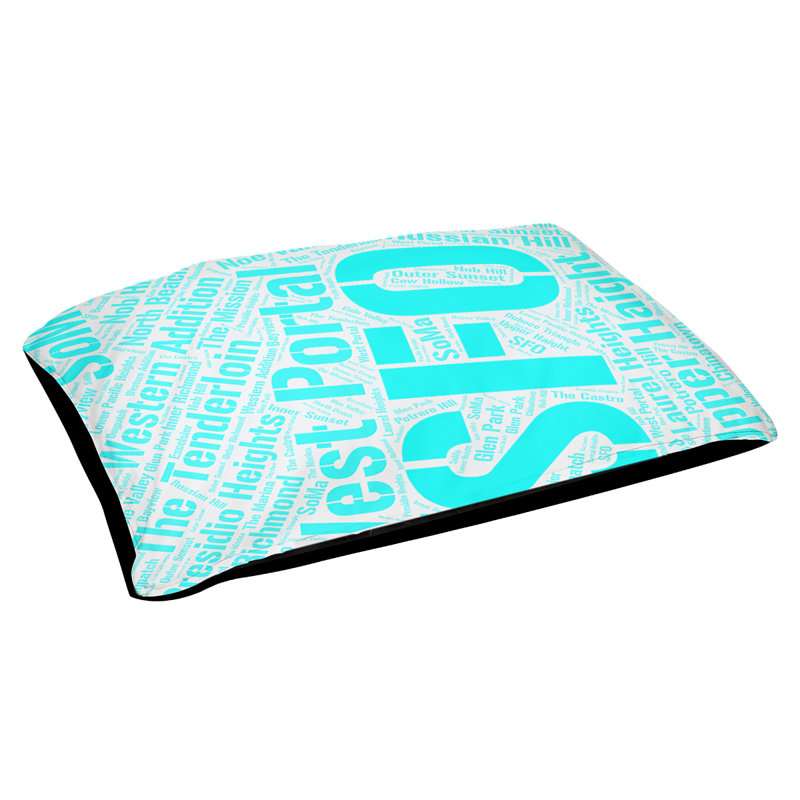 Oreiller rectangulaire designer, Moyen L 40 po x l 30 po, Cyan, San Francisco