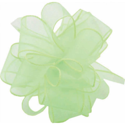 50Yds Wired Spring Sheer Ribbon