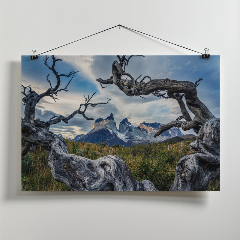 Wrapped Canvas Print, 50.8 cm H x 76.2 cm W