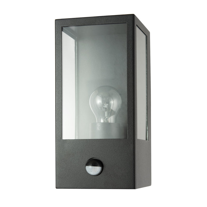 Brushed 24cm H Outdoor Wall Lantern