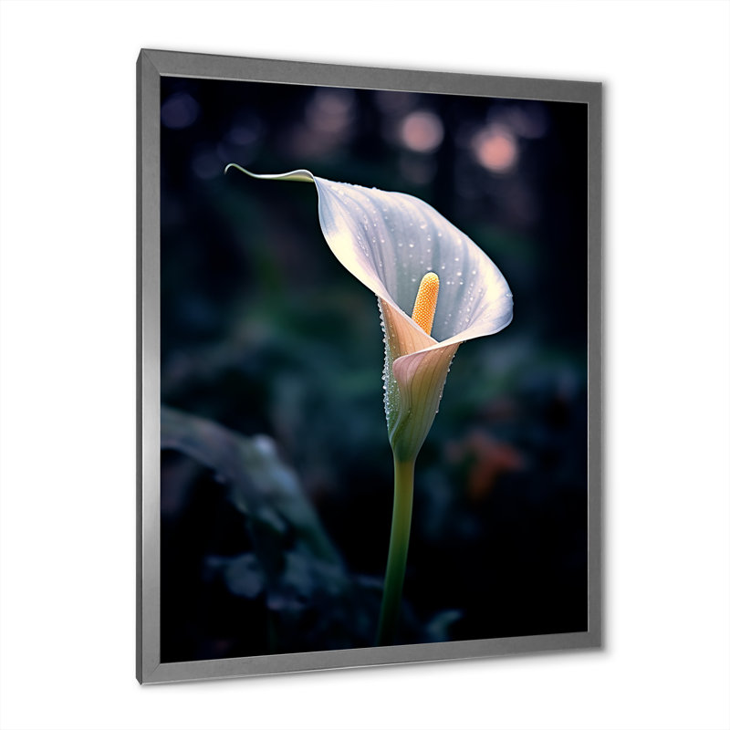 Calla Lily Moonlight Magic sur toile, H 32 po x l 16 po x P 1 po, Cadre simple argenté