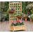 Flower shelf Wooden Raised Garden Bed, Outdoor Planter Box