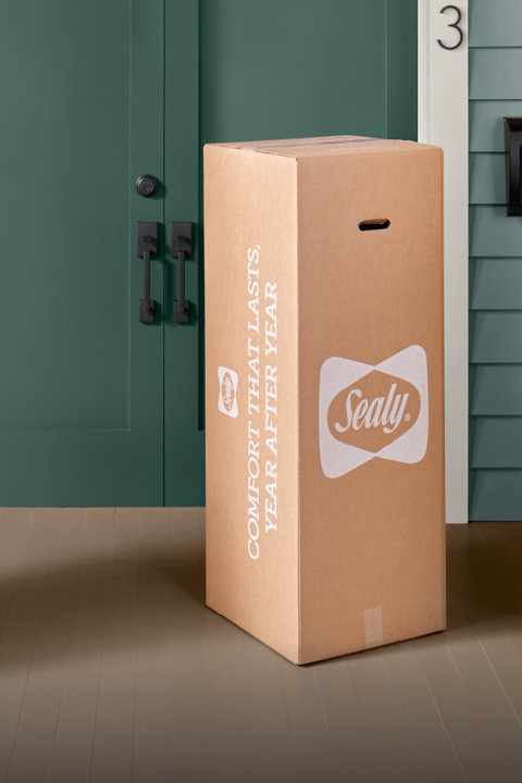 Sealy Bed in a Box