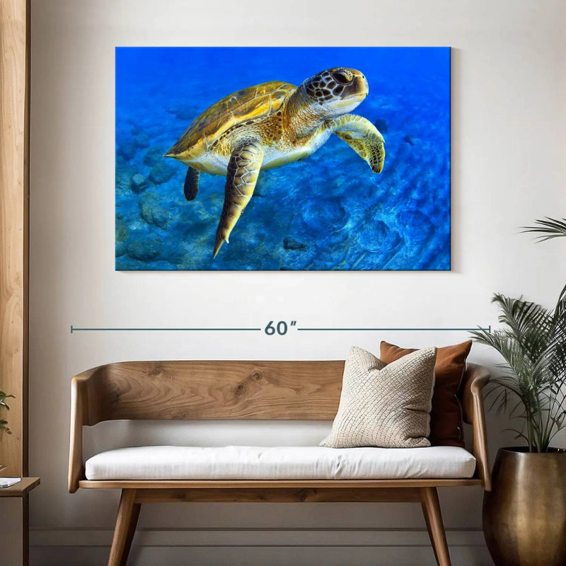 Brampt Sea Turtle Explorer, 32" H x 48" W