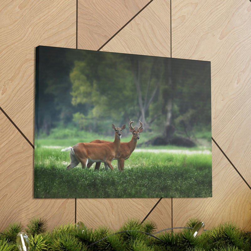 No Frame Print on Canvas