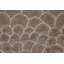 Tapis brun Kashgar-2111743042