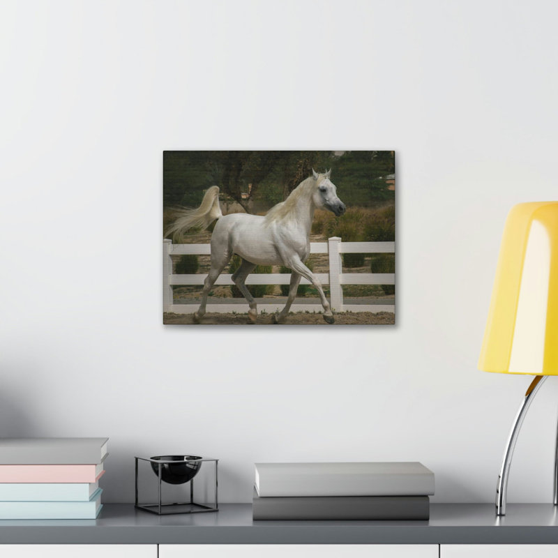 No Frame Print on Canvas, 27.94cm H x 35.56cm W