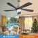Lashyra 25.9'' Ceiling Fan with LED Lights