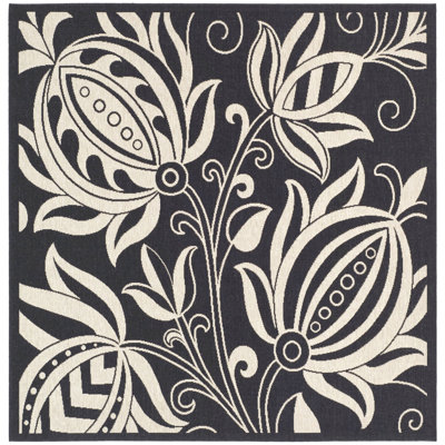 Tapis intérieur / extérieur noir / brun clair Herefordshire