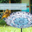 Birdbath