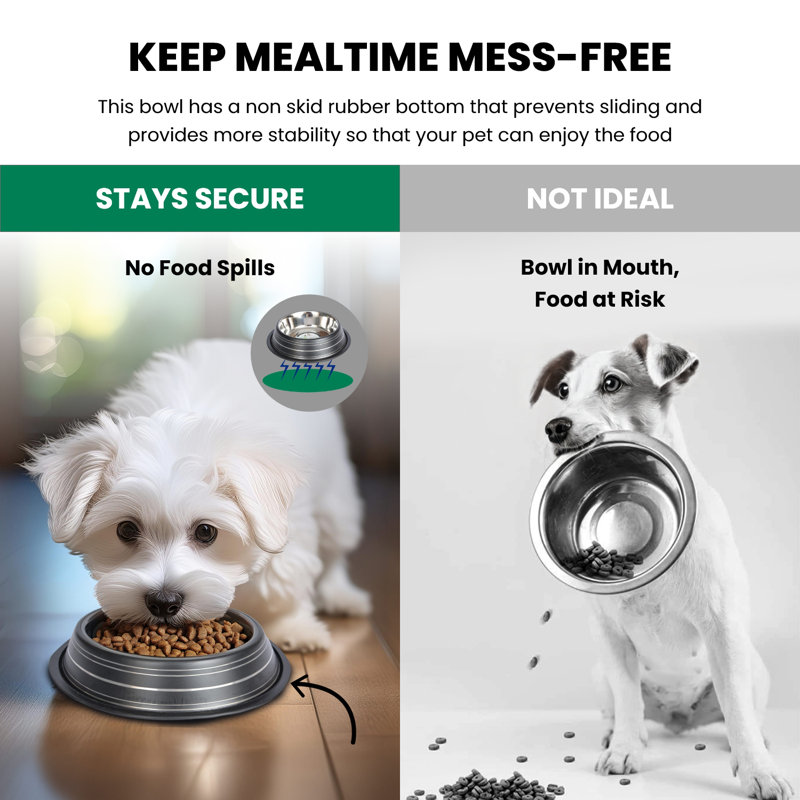 Black Stainless Steel Non-Skid Pet Bowl with Rubber Base