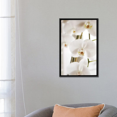 « orchidées orchidées », reproduction de photo sur toile