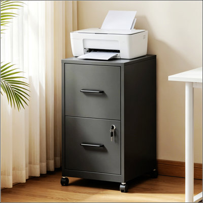 Classeur métallique verrouillable à 2 tiroirs avec roulettes, classeur vertical en acier à placer sous un bureau avec trousse anti-basculement mural, solution de rangement robuste pour dossiers de format lettre/légal.