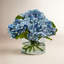 HYDRANGEA IN CYLINDER-1013541709