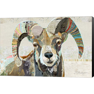 " Wild Bighorn Sheep " by Traci Anderson