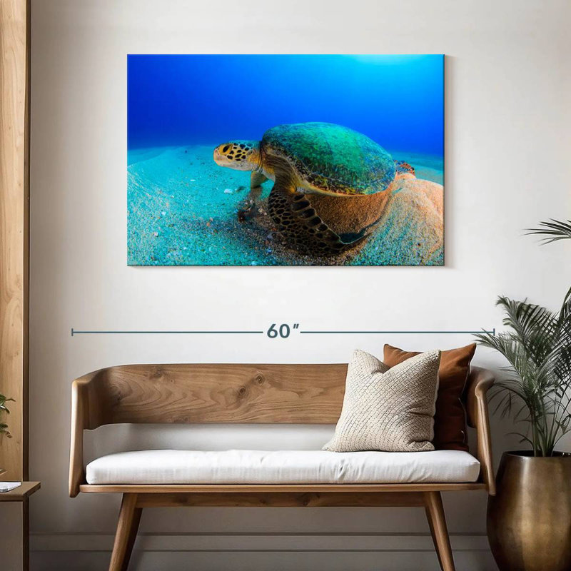 Brampt Resting Sea Turtle, 30" H x 45" W