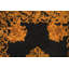 Hand-Knotted High-Quality Black Area Rug